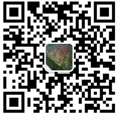 扫描关注网站建设微信公众账号